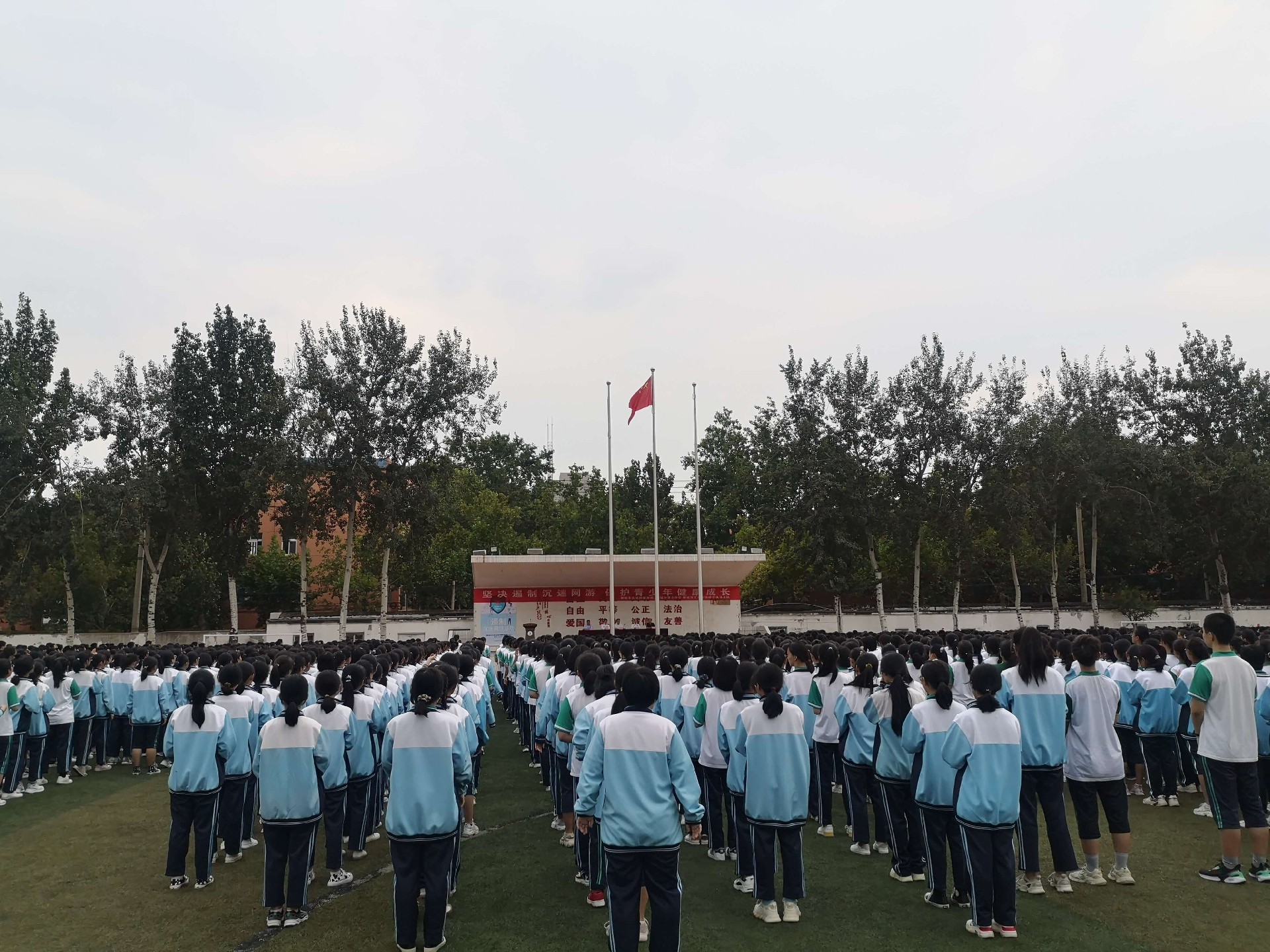 1646811856183053.jpg 1646811856183053.jpg